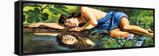 Legends of Ancient Greece: The Fatal Reflection-Roger Payne-Framed Stretched Canvas