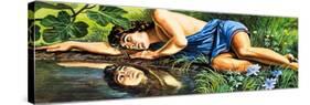 Legends of Ancient Greece: The Fatal Reflection-Roger Payne-Stretched Canvas