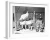 Leghorn and Her Eggs with Trophy for Egg Laying-null-Framed Photographic Print