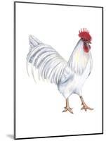 Leghorn (Gallus Gallus Domesticus), Rooster, Poultry, Birds-Encyclopaedia Britannica-Mounted Poster