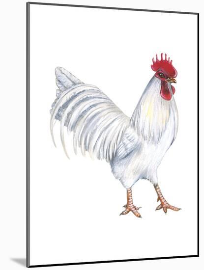 Leghorn (Gallus Gallus Domesticus), Rooster, Poultry, Birds-Encyclopaedia Britannica-Mounted Poster