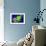 Legionella Bacteria-Dr. Linda Stannard-Framed Photographic Print displayed on a wall