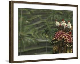 Legong Dancers, Bali, Indonesia-Michele Westmorland-Framed Photographic Print