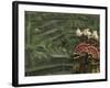 Legong Dancers, Bali, Indonesia-Michele Westmorland-Framed Photographic Print