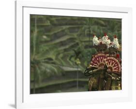 Legong Dancers, Bali, Indonesia-Michele Westmorland-Framed Photographic Print