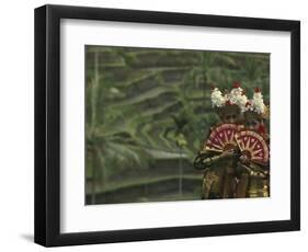 Legong Dancers, Bali, Indonesia-Michele Westmorland-Framed Photographic Print