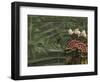 Legong Dancers, Bali, Indonesia-Michele Westmorland-Framed Photographic Print