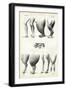 Legs, 1863-79-Raimundo Petraroja-Framed Premium Giclee Print