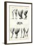 Legs, 1863-79-Raimundo Petraroja-Framed Giclee Print