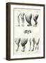 Legs, 1863-79-Raimundo Petraroja-Framed Giclee Print