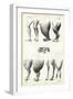 Legs, 1863-79-Raimundo Petraroja-Framed Giclee Print