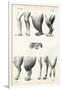 Legs, 1863-79-Raimundo Petraroja-Framed Giclee Print