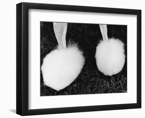 Legs of Groomed Poodle-Henry Horenstein-Framed Photographic Print