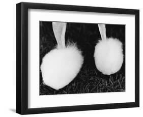 Legs of Groomed Poodle-Henry Horenstein-Framed Photographic Print