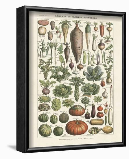 Legumes I-Adolphe Millot-Framed Art Print