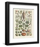 Legumes I-Adolphe Millot-Framed Art Print