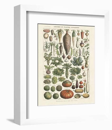 Legumes I-Adolphe Millot-Framed Art Print