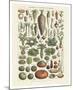 Legumes I-Adolphe Millot-Mounted Art Print