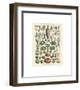 Legumes I-Adolphe Millot-Framed Giclee Print