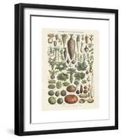 Legumes I-Adolphe Millot-Framed Giclee Print