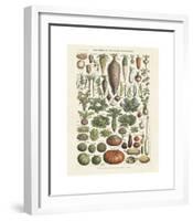 Legumes I-Adolphe Millot-Framed Giclee Print