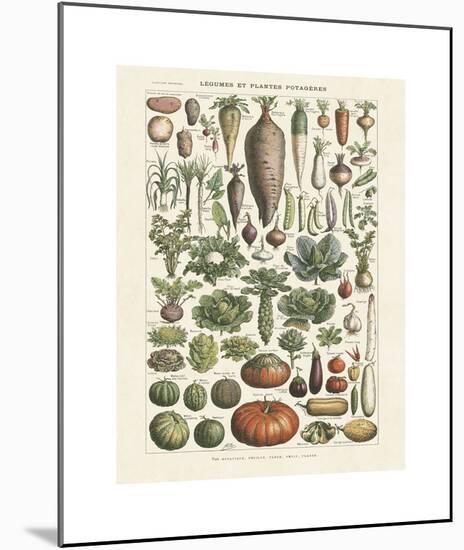 Legumes I-Adolphe Millot-Mounted Giclee Print