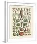 Legumes I-Adolphe Millot-Framed Art Print