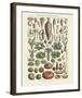 Legumes I-Adolphe Millot-Framed Art Print