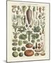 Legumes I-Adolphe Millot-Mounted Art Print