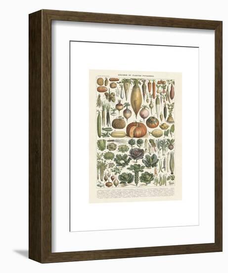 Legumes II-Adolphe Millot-Framed Art Print