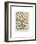 Legumes II-Adolphe Millot-Framed Art Print