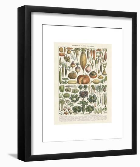 Legumes II-Adolphe Millot-Framed Art Print