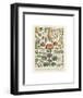 Legumes II-Adolphe Millot-Framed Art Print