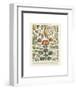 Legumes II-Adolphe Millot-Framed Art Print