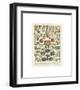 Legumes II-Adolphe Millot-Framed Giclee Print