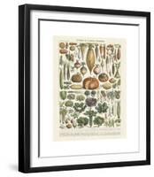 Legumes II-Adolphe Millot-Framed Giclee Print