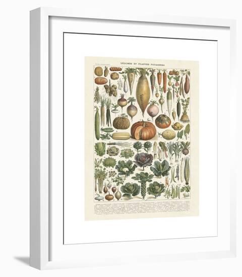 Legumes II-Adolphe Millot-Framed Giclee Print