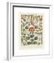 Legumes II-Adolphe Millot-Framed Giclee Print