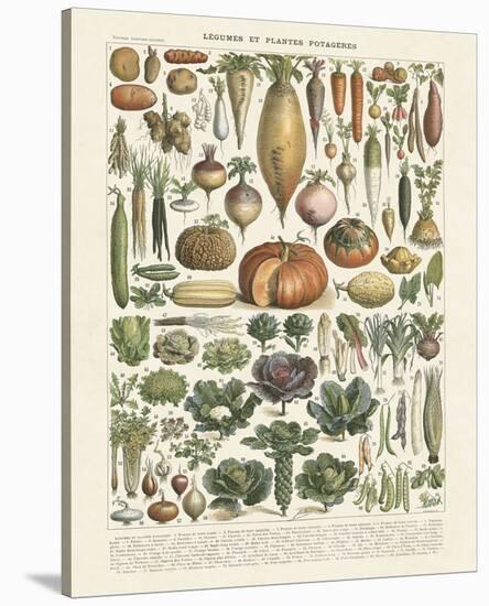 Legumes II-Adolphe Millot-Stretched Canvas
