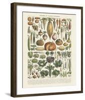 Legumes II-Adolphe Millot-Framed Art Print