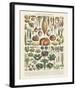 Legumes II-Adolphe Millot-Framed Art Print