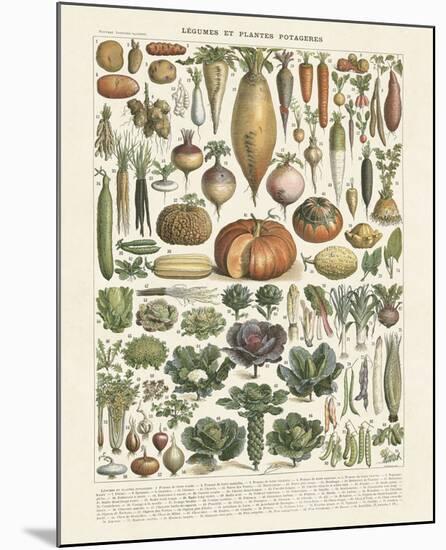 Legumes II-Adolphe Millot-Mounted Art Print