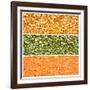 Legumes Triptych-Steve Gadomski-Framed Photographic Print