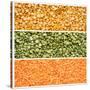 Legumes Triptych-Steve Gadomski-Stretched Canvas