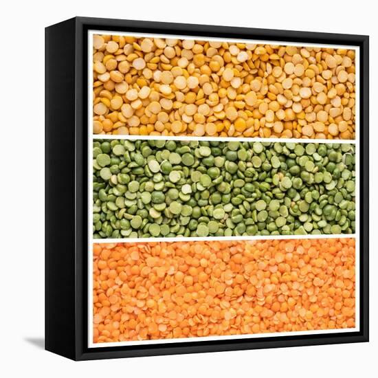 Legumes Triptych-Steve Gadomski-Framed Stretched Canvas