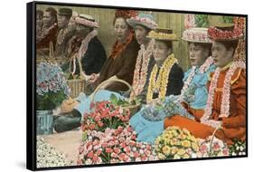 Lei Vendors, Hawaii-null-Framed Stretched Canvas