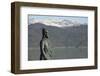 Leif Erikson statue at Brattahlid, Qassiarsuk, Tunulliarfik, Greenland-Cindy Miller Hopkins-Framed Photographic Print