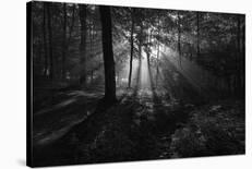 Past the sun.-Leif Londal-Photographic Print