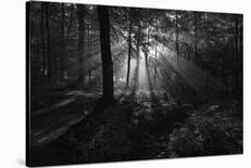 A Sunny Morning-Leif Londal-Framed Giclee Print
