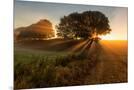 Wood Mount
